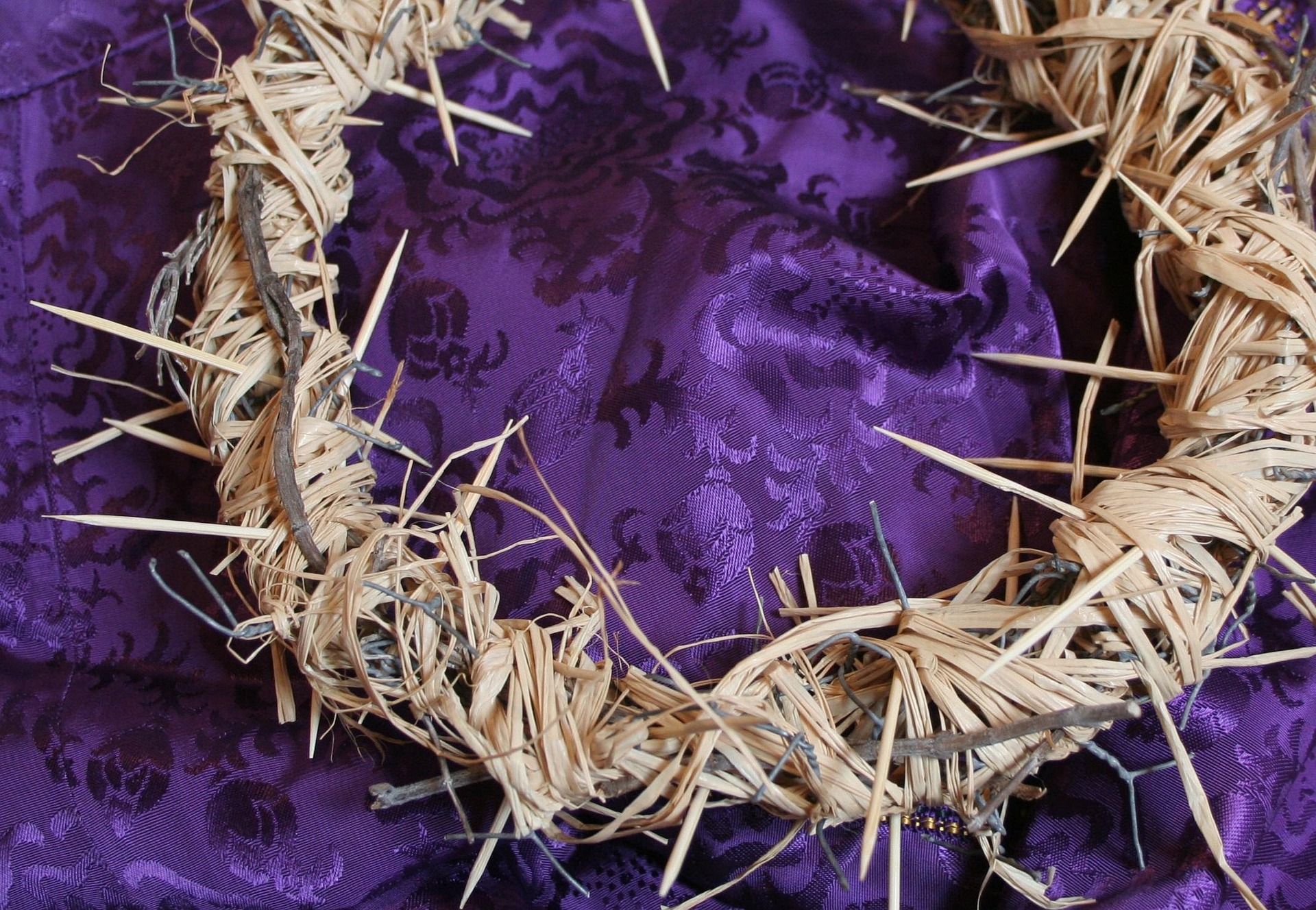 Crown of thorn. Image by Andrea Don from Pixabay