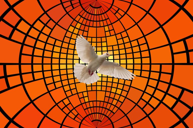 Holy Spirit, the Comforter. Image by Gerd Altmann from Pixabay